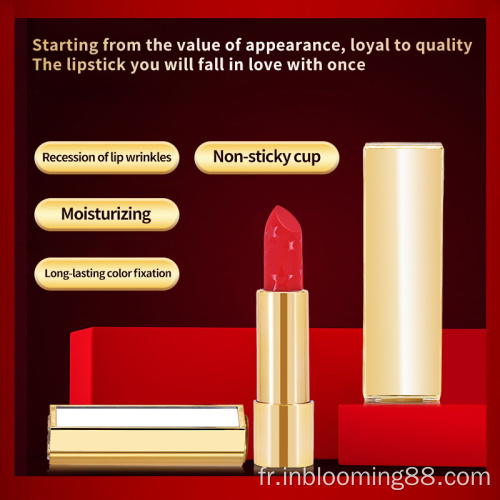Étiquette privée du rouge à lèvres en velours mat à imperméabilisation personnalisé